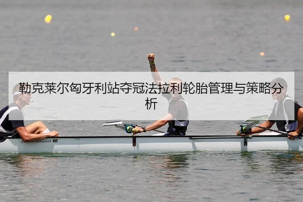 lei-ke-lai-er-xiong-ya-li-zhan-duo-guan-fa-la-li-lun-tai-guan-li-yu-ce-lve-fen-xi-3-611.jpg